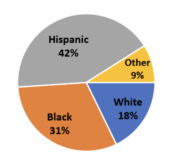 Pie chart showing Hispanic students are largest ethnicity at STD (42%)